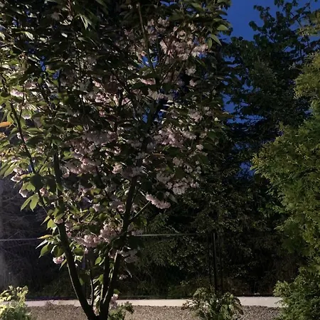 Surga Apartament Gasthof *